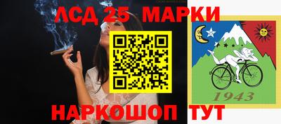 мяу мяу мука Бузулук