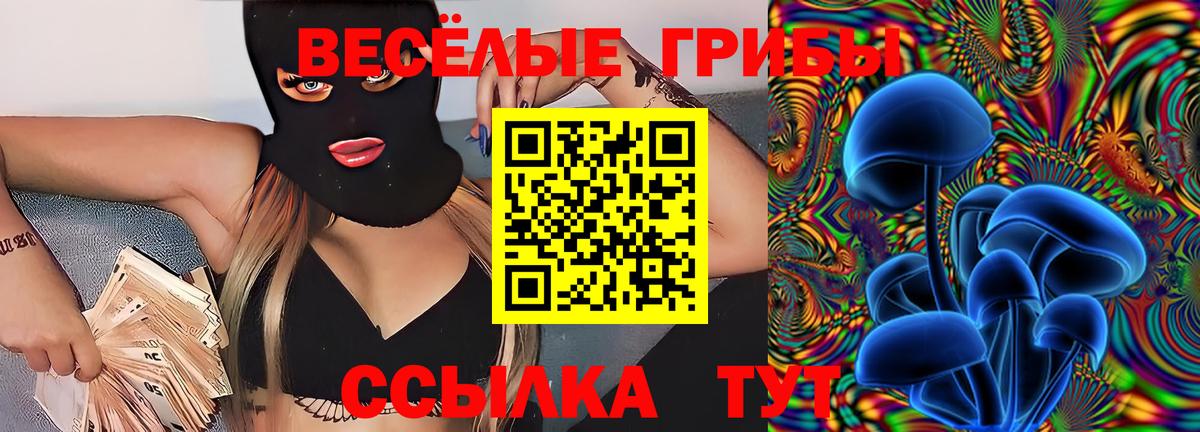Псилоцибиновые грибы ЛСД Удомля