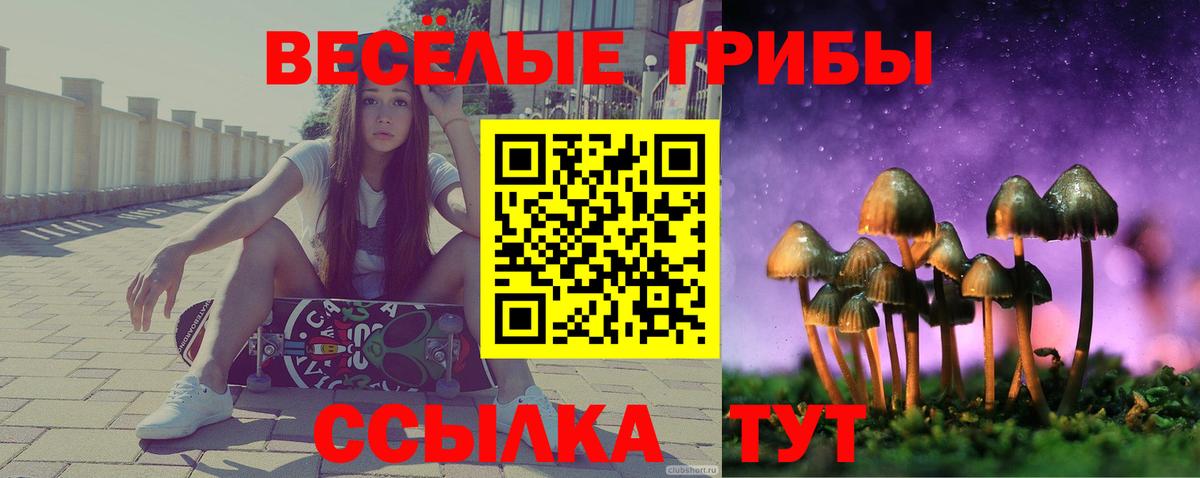 Удомля  Галлюциногенные грибы мухоморы  закладки  Вход с VPN 